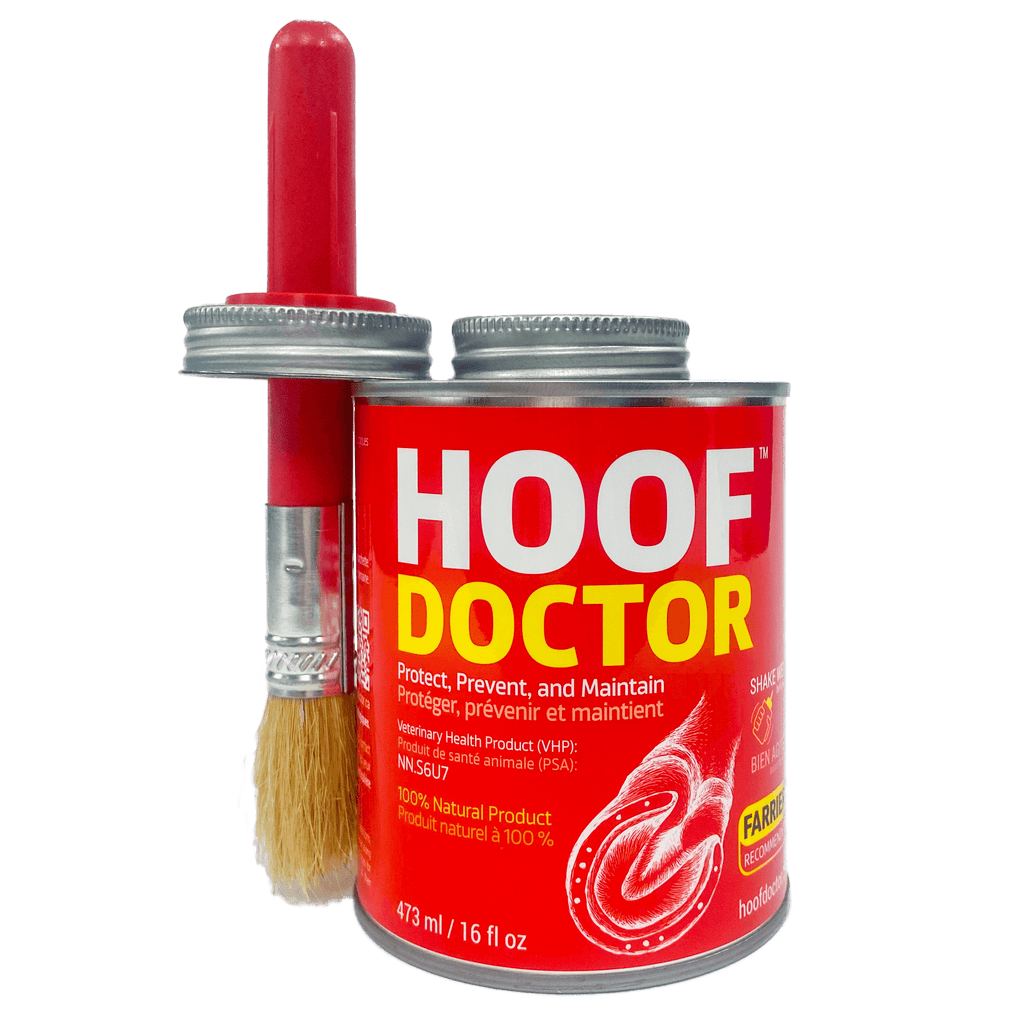 Hoof Doctor - Hoof Doctor UK